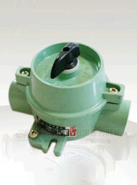 SW-10防爆照明开关新黎明防爆开关10A220V380V防腐防尘铸铝控制器