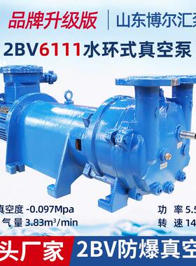 2BV6111防爆真空泵5.5kw水环式真空泵抽气泵制药设备配套真空泵