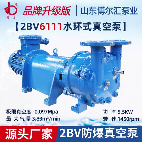2BV6111防爆真空泵5.5kw水环式真空泵抽气泵制药设备配套真空泵