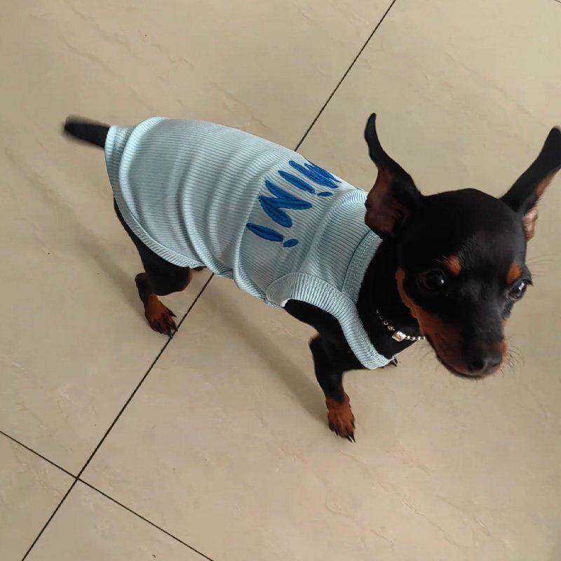 小鹿犬吉娃娃专用背心小狗狗夏季夏天薄款衣服小型幼犬夏装防掉毛