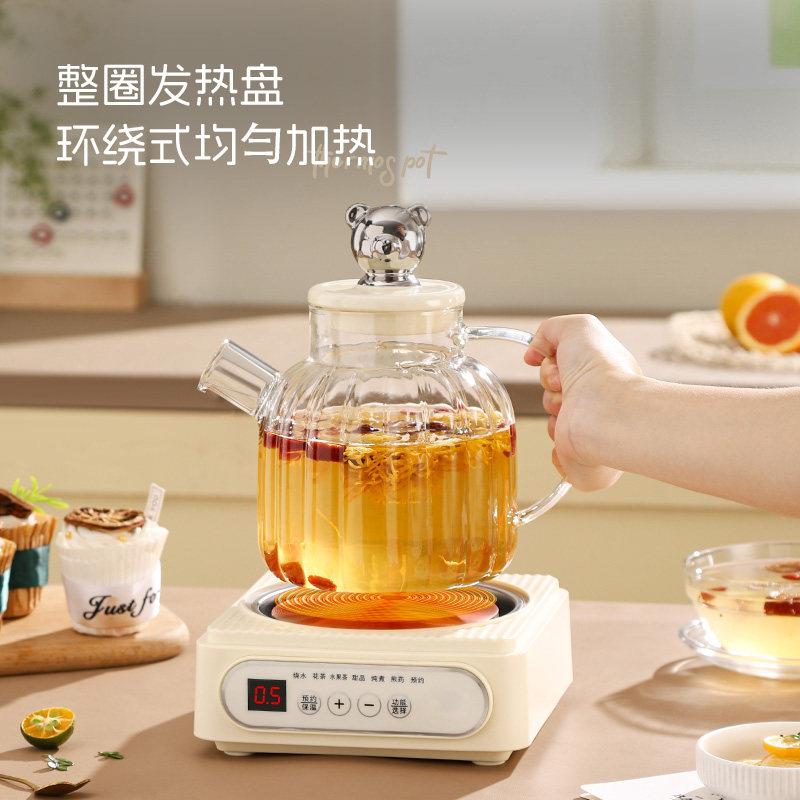 全玻璃煮水壶迷你养生壶家用多功能烧茶壶办公室小型煮茶器花茶壶