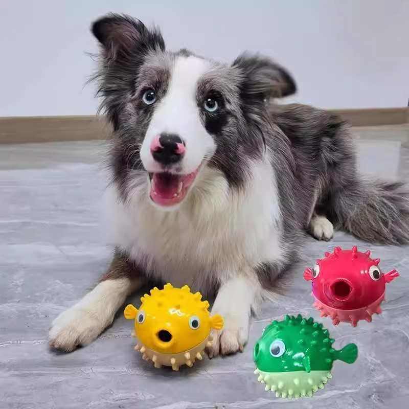 蹦蹦鱼狗狗玩具解闷神器磨牙耐咬中小型犬柯基泰迪金毛漏食发声球,宠物/宠物食品及用品,漏食玩具/藏食玩具/嗅闻玩具,淘宝优惠券,粉丝福利购,淘宝优惠卷