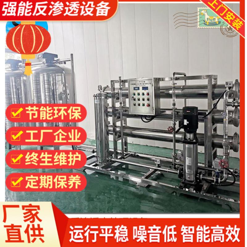 强能时产10吨RO反渗透设备 纯净水设备