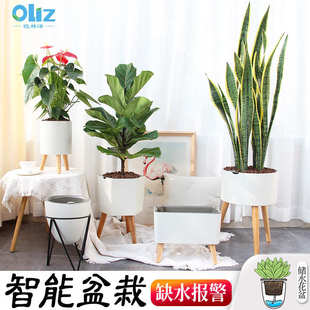 田间小径家居创意懒人智能花盆自动吸水大北欧风塑料花盆