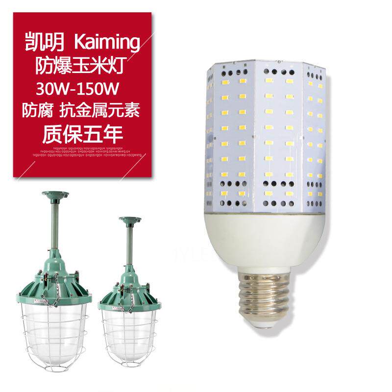 粉尘车间灯具30W/50W/70WLED防爆玉米灯机房水电站照明灯E27灯头