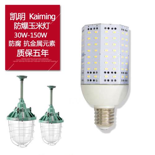 粉尘车间灯具30W/50W/70WLED防爆玉米灯机房水电站照明灯E27灯头