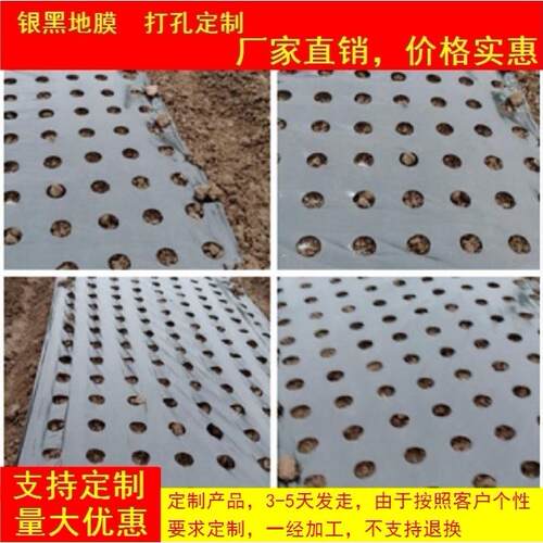 打孔地膜农用种植带孔农膜地膜反光地膜大棚塑料玉米蔬菜大葱地膜