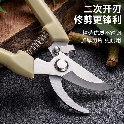 Garden Scissors for Pruning, a Versatile Tool for Trimming T