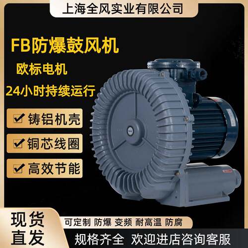 FB-2粉尘防爆高压风机2.2KW变频隔爆旋涡鼓风机CT4BT4真空式风泵