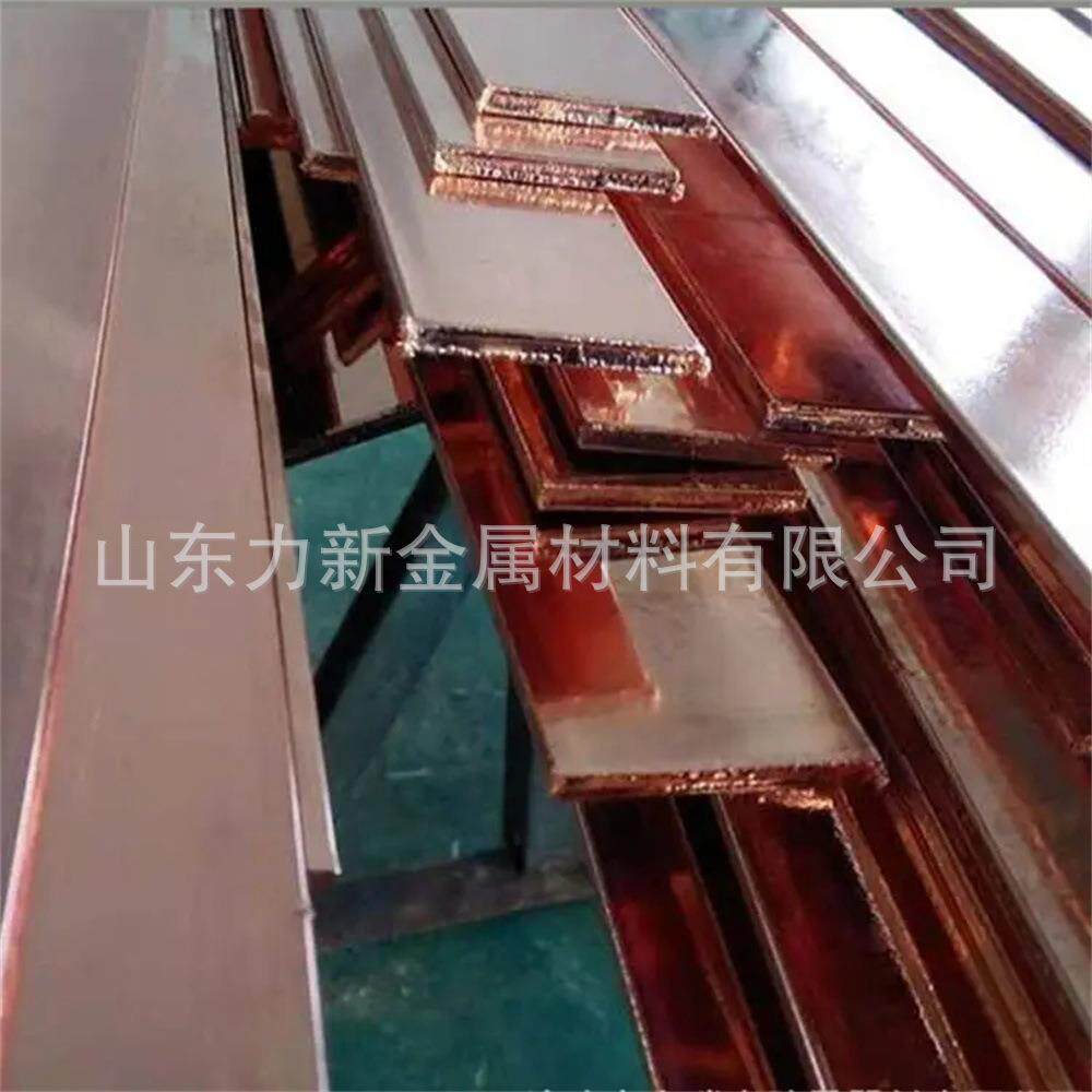 电力管廊铜包钢扁钢铜覆扁钢接地镀铜扁铁25*440*450*5