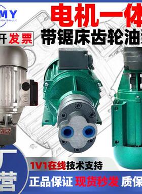 适用CB-B4B6B10锯床齿轮油泵电机组CB-B10/B6/B4/B2.5J机床润滑泵