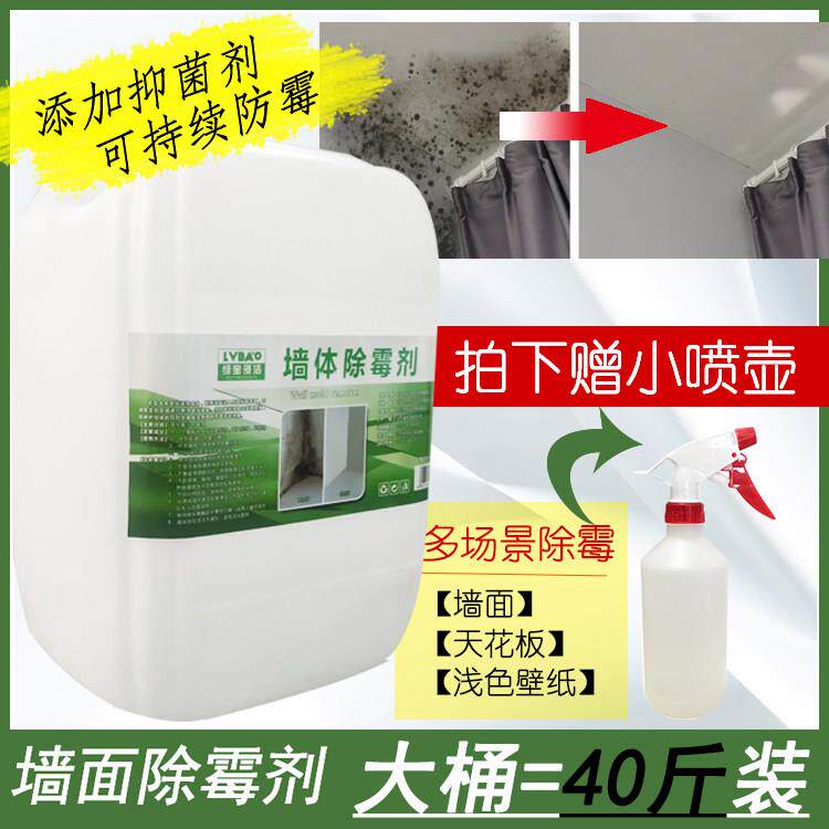 墙体除霉剂白墙壁纸墙面布霉菌去霉斑清除防霉大桶保洁公司去霉剂