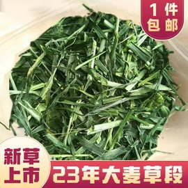 2023年新大麦草段500g兔子龙猫豚鼠天竺鼠荷兰猪仓鼠干草饲料粮食