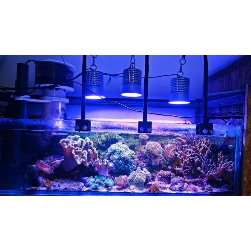 全光谱LED珊瑚灯海水缸水族藻缸筒灯爆藻定制30w大功率出苔灯