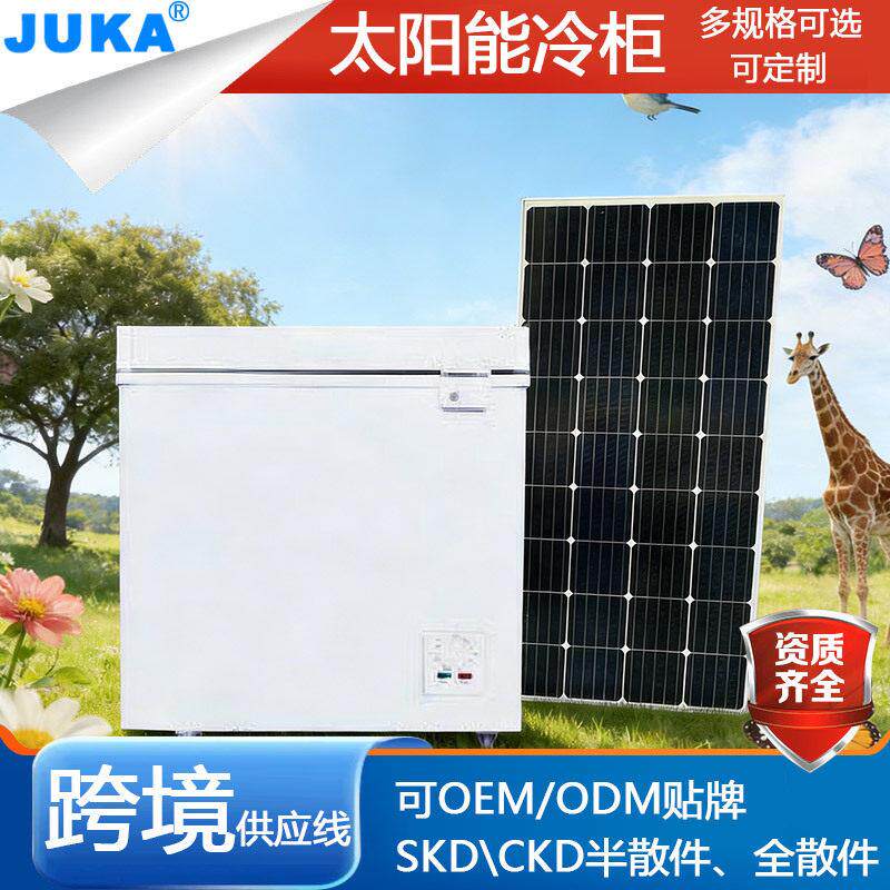 太阳能冰柜经济型直流发泡层248L冰箱出口冷柜solarfreezer