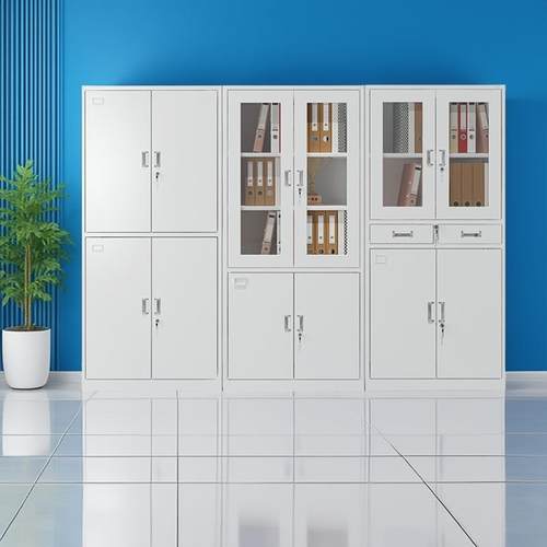 制钢m件柜办公室铁皮柜带锁985多层文工具柜储物柜会计资料柜ω