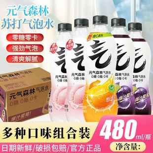 肖战同款 瓶汽水整箱 气森林0糖0脂0卡气泡水多口味480mL 元