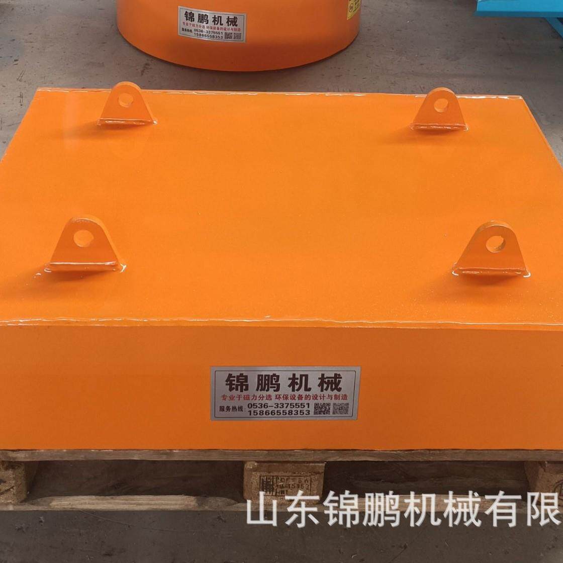 厂家制造RCYB系列悬挂式永磁选果机/分选机