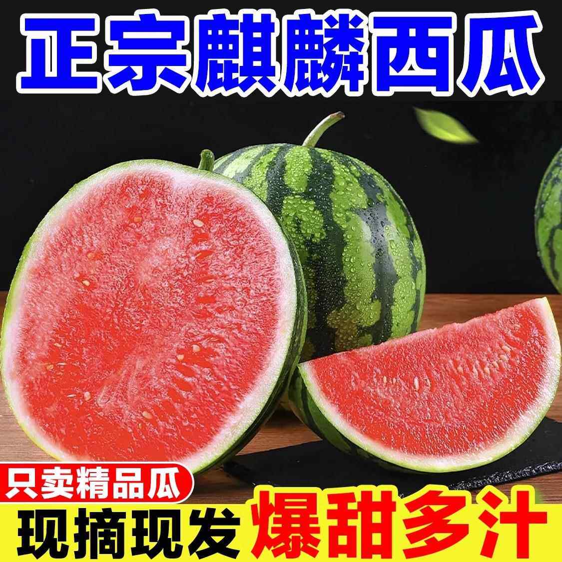 正宗8424西瓜大果现摘脆甜红壤新鲜水果无籽麒麟瓜黑籽整箱