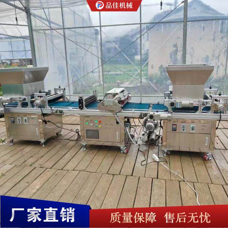 全自动穴盘育苗机 蔬菜花卉播种育苗一体机 农用育苗机械