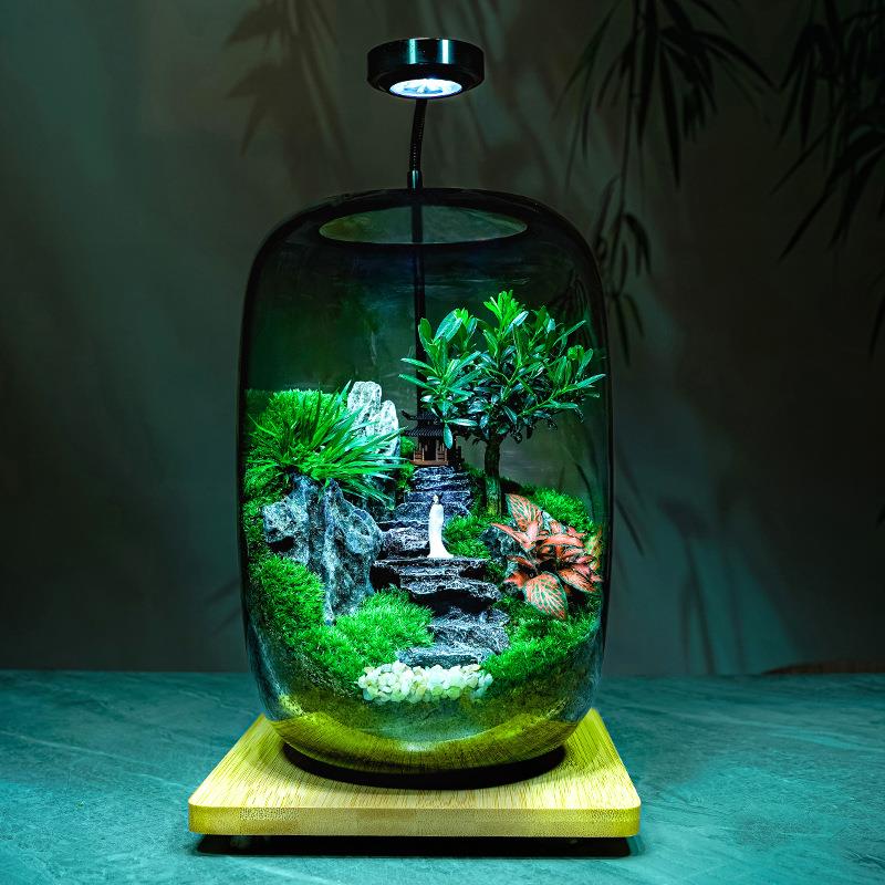 醉翁亭桌面微景观玻璃生态瓶苔藓成品创意盆栽装饰摆件盆景植物