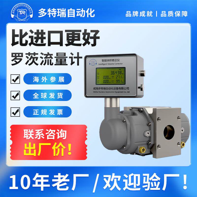 天然气气体腰轮罗茨流量计智能流量数显沼气煤气甲烷容积式计量