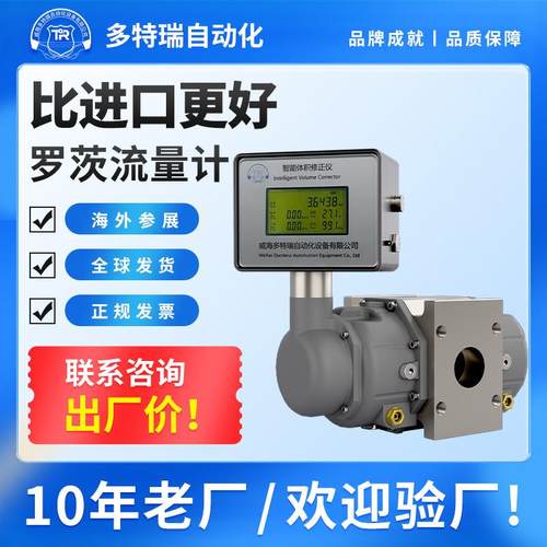 天然气气体腰轮罗茨流量计智能流量数显沼气煤气甲烷容积式计量