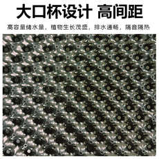 Рассада/питание