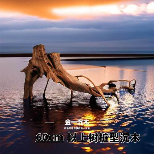 60cm以上树桩型飘枝树根紫柚木沉木雷龙七彩龙鱼神仙南美鱼缸造景