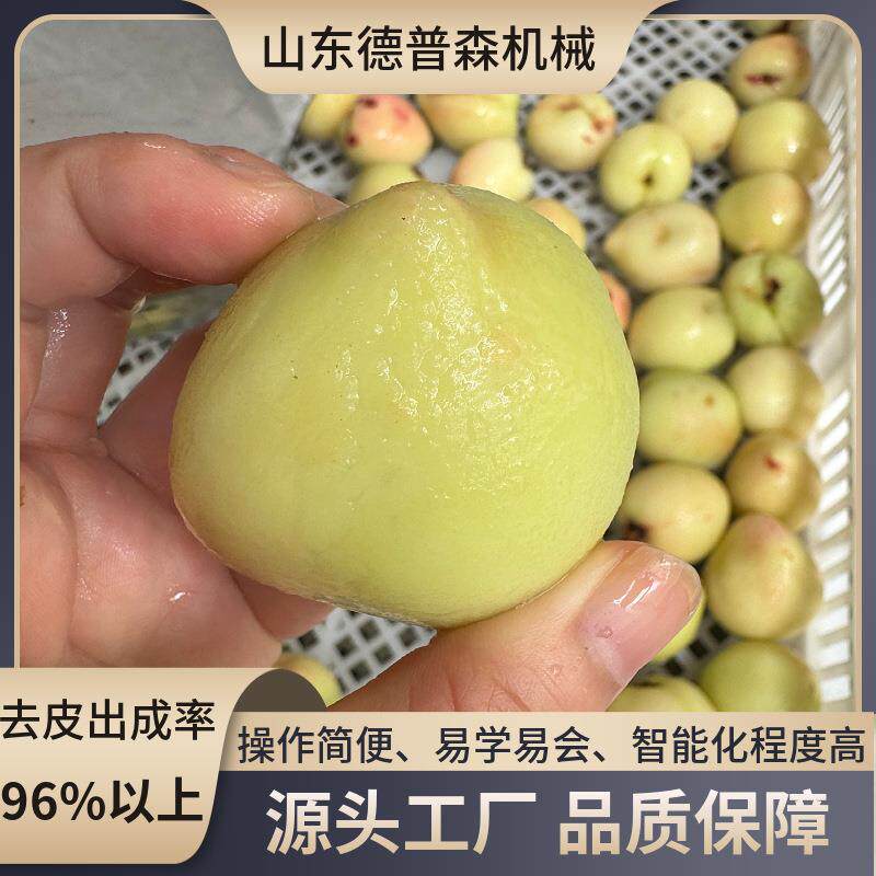 商用全自动果蔬物理蒸汽去皮机连续式桃子猕猴桃洋葱脱皮机