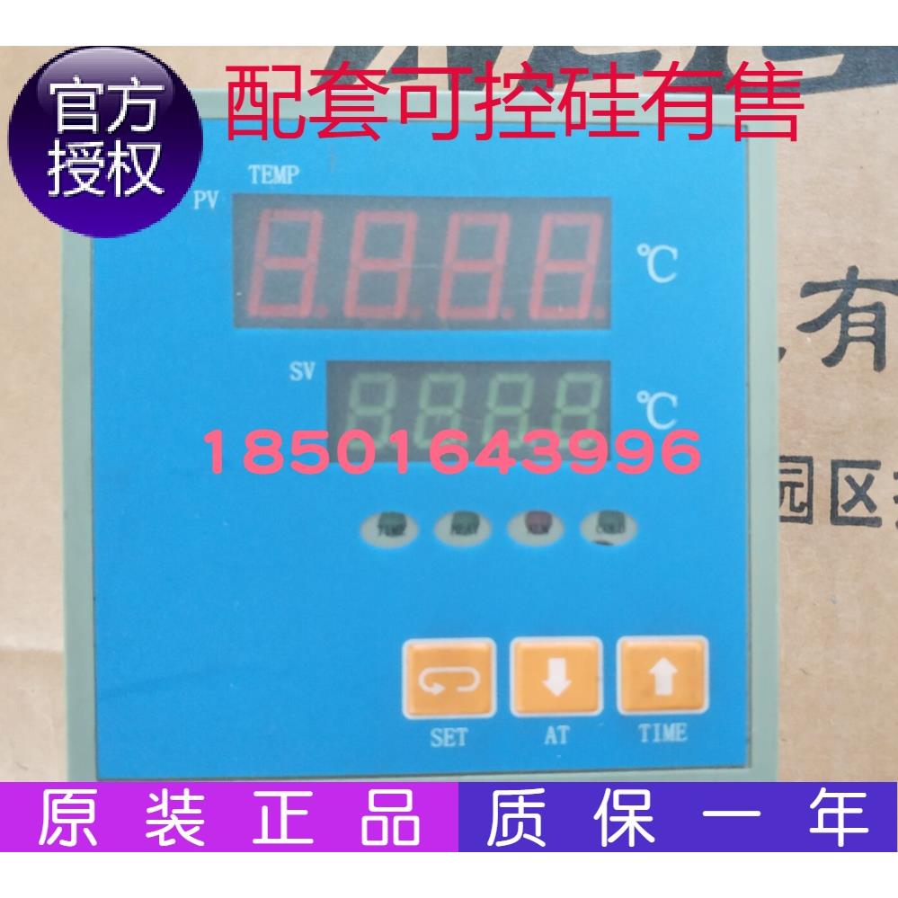 上海亚泰可调温度控制器 电子式温控仪器 工业用温控设备