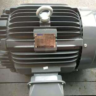 18.5KW 无锡东元 电机TECO三相异步电动机TEGH180M4 25HP AEEFF