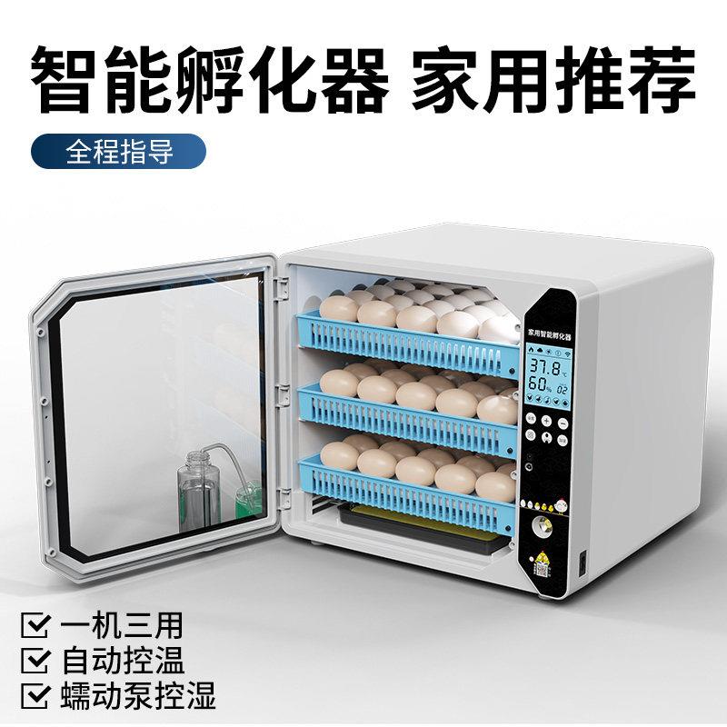 孵化器全自动孵化机小型孵蛋器智能家用小鸡鹦鹉种蛋孵化箱