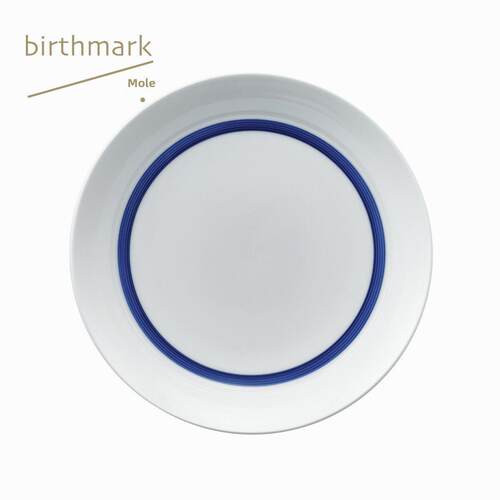 蓝边中盘／餐具餐盘／景德镇高温瓷|痣birthmark