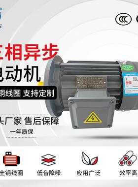 YE3-160M/1M/L-8极铁壳/电机4/5.5722.25W380V纯铜芯三相电动机
