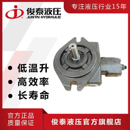 广东俊泰 低压液压系统油泵铸铁 VP20/08/12/15 变量叶片泵厂家