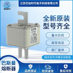 170M6058 170M6060巴斯曼BUSSMANN熔断器保险丝 170M6059