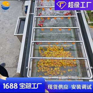 果果菜蔬盐气泡清洗机 水蔬清洗设LAB备 辣椒酱菜脱全自动洗菜机