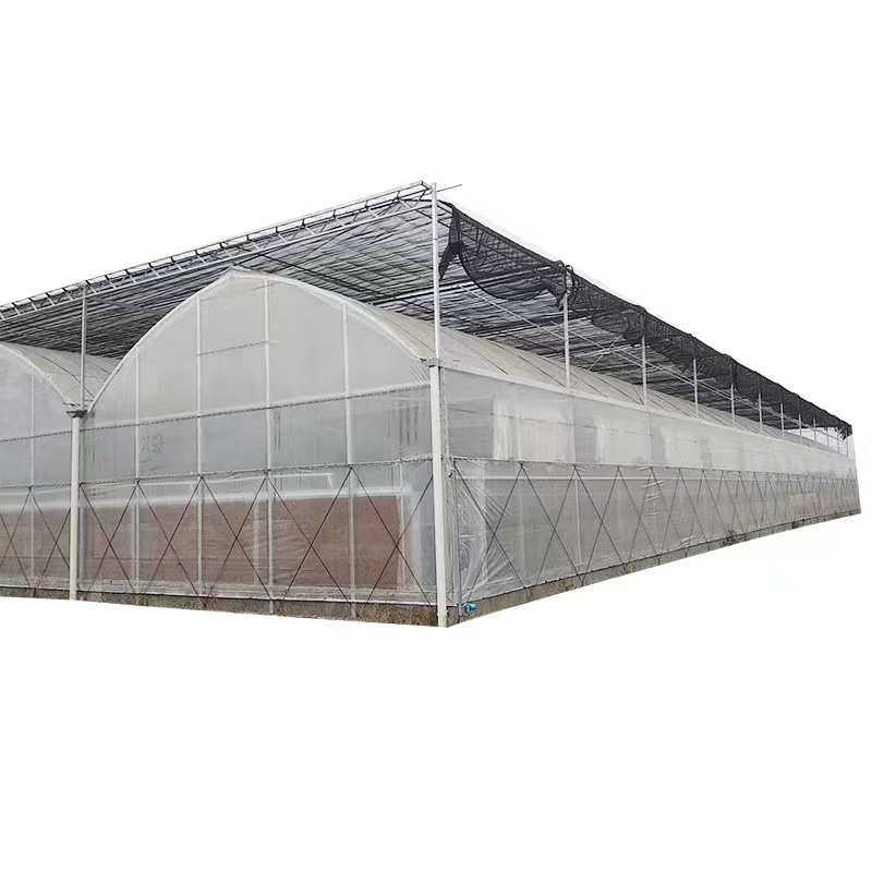 连栋温室 大棚骨架 农业种植连栋大棚 智能连栋薄膜温室 连栋大棚
