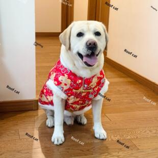 狗狗唐装大型犬冬季金毛新年保暖拉布拉多边牧过年红色喜庆衣服AI