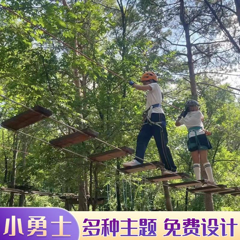 小勇士丛林探险树上拓展项目景区攀爬游乐设备丛林绳桥拓展设施