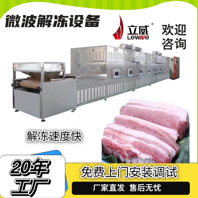 冻牛羊猪肉解冻设备肉制品解冻速度快鸡爪除冰设备