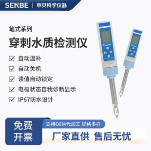 穿刺型笔式水质检测仪土壤食品果蔬检测PH/ORP高精度酸碱度测试笔