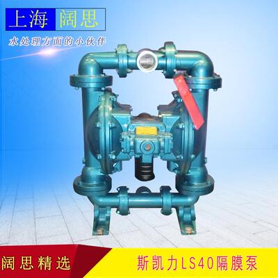 斯凯力金属气动隔膜泵LS40CS-AA-T/N-TT-TT-00流体输送隔膜泵