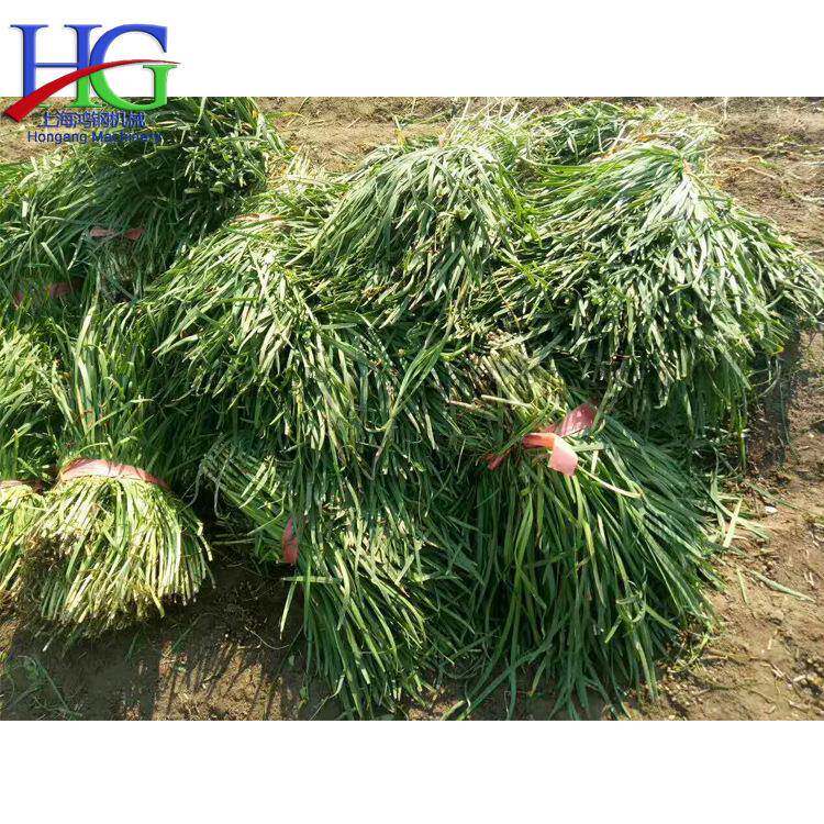 牌自走式韭菜收获机小型辣椒收割机器大棚电动割韭菜机械