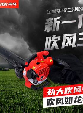 新款EBV260E落叶清理手提汽油吹吸机两用吹风机两冲程风力灭火机