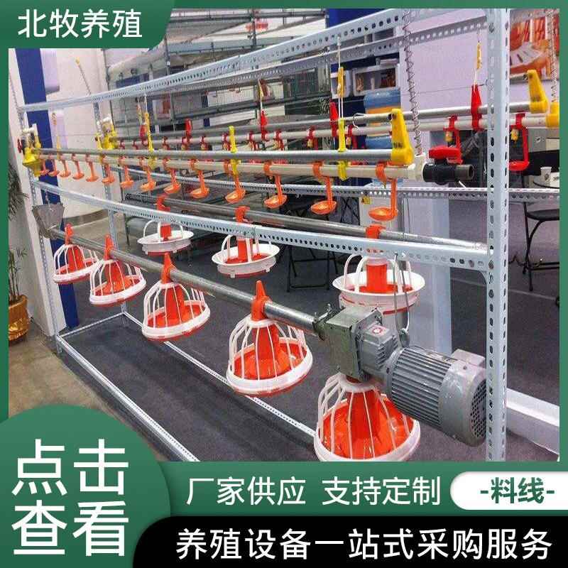源头家全自动喂鸡养料线料鸡KUF鸭厂鹅平喂喂水线养殖设备料线