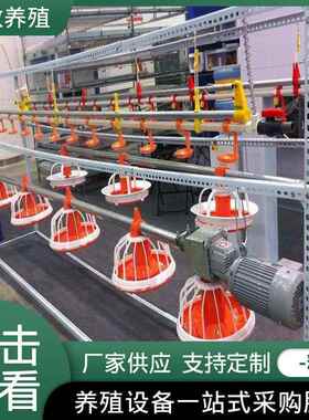 源头家全自动喂CCH鸡厂料线料线鸡鸭鹅平养喂喂水养殖设备料线