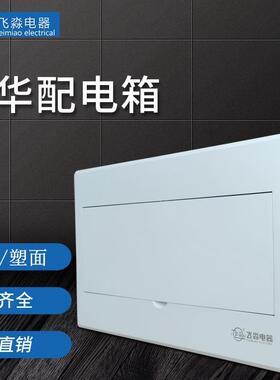 飞淼PZ30家用暗装配电箱白色面板铁盖板漏电空开盒子13回路20回路