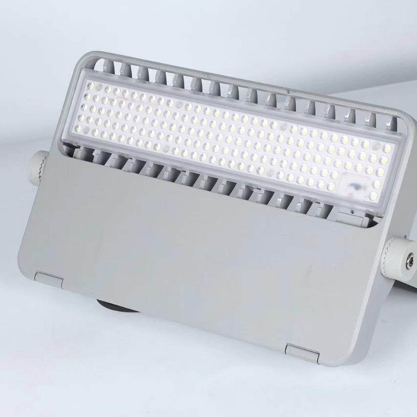 2025新款模组HGK-FFD2投光灯30光30灯能珠高效投光灯100W防水节远